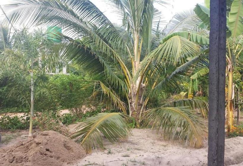 فندق Island Breeze Inn