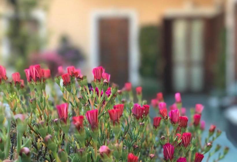 בית מלון כפרי Piemontese