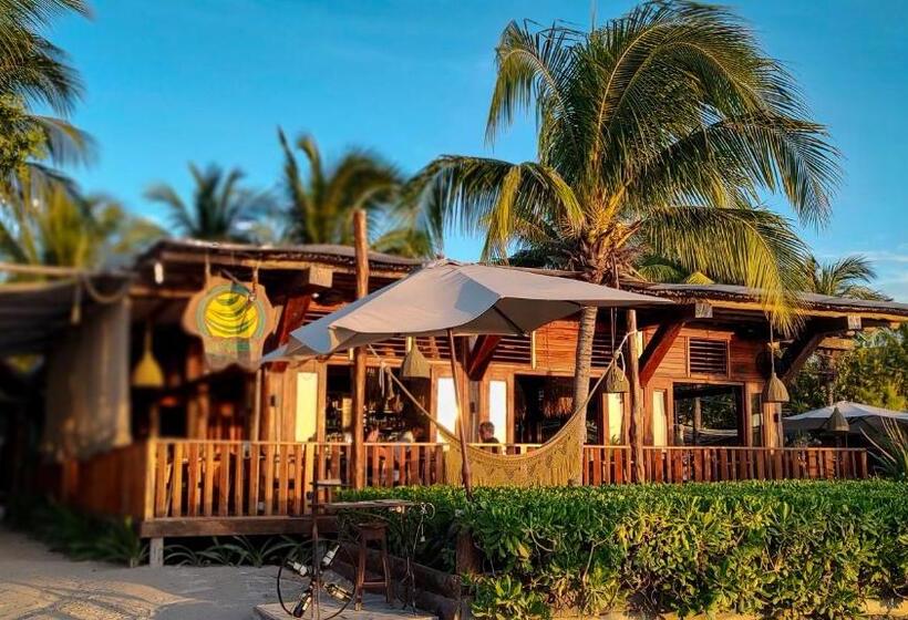 酒店 Siesta Holbox