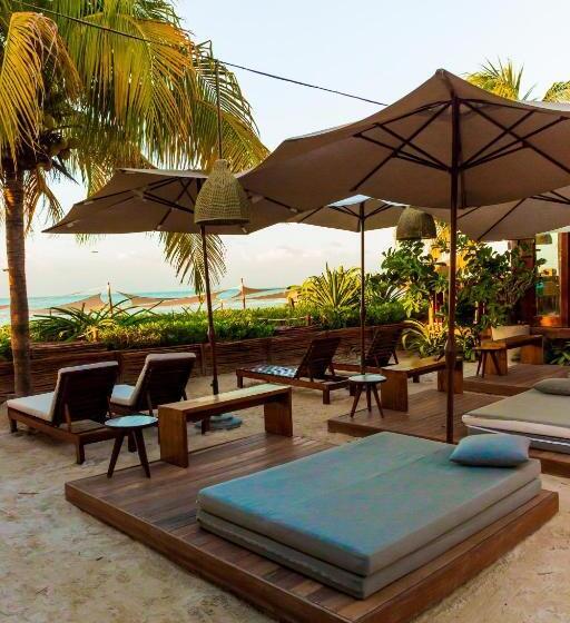 酒店 Siesta Holbox