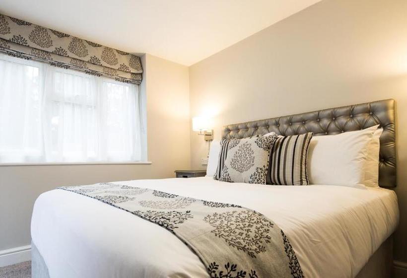 فندق The Maple Manor