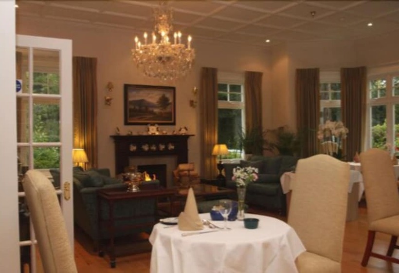 בית מלון כפרי The Pines