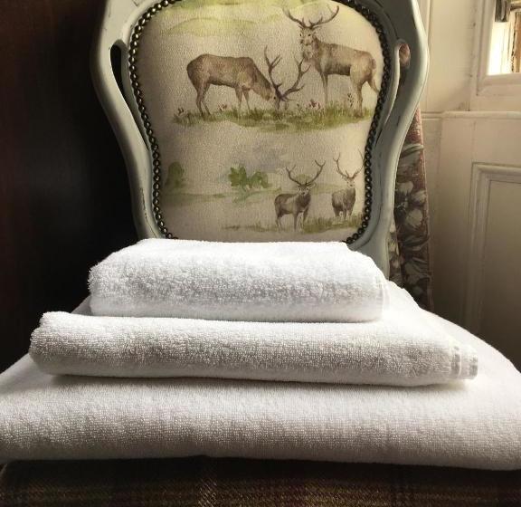 בית מלון כפרי The Stag Head