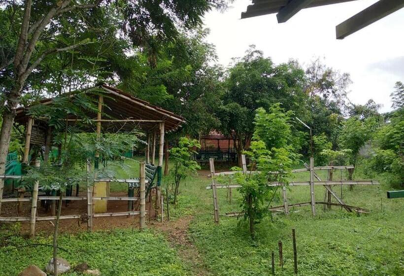 리조트 Mist Valley