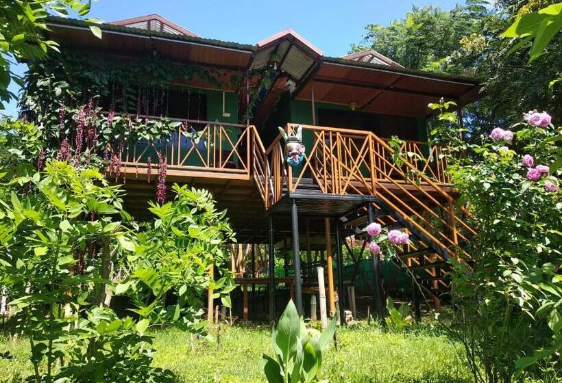 Курорт Mist Valley