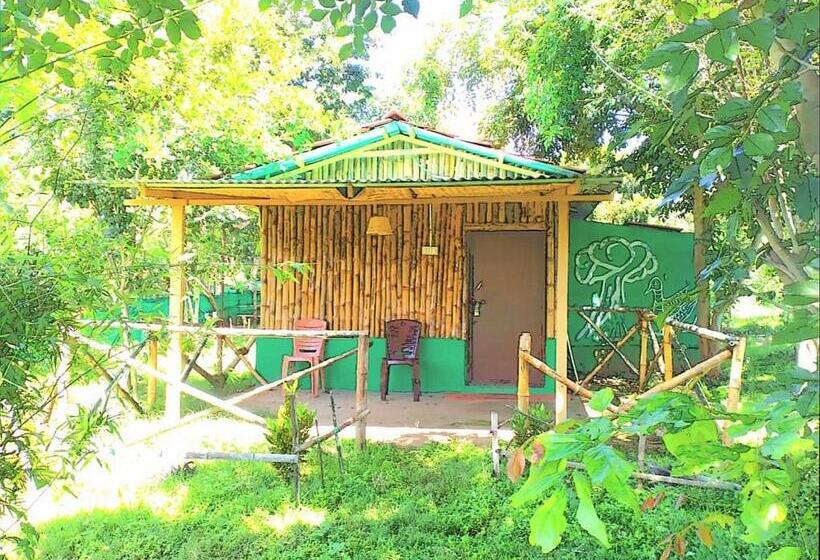 Курорт Mist Valley