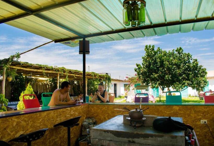 The Upcycled Hostel Huacachina