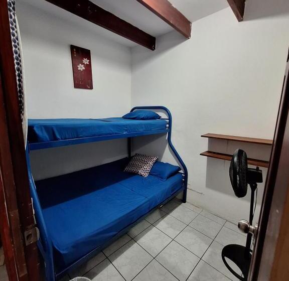 ユースホステル Wide Mouth Frog Quepos