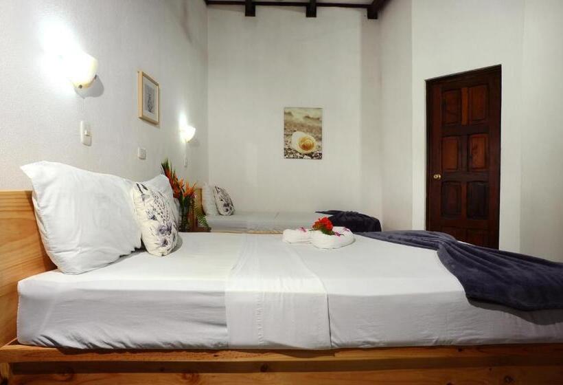 ユースホステル Wide Mouth Frog Quepos