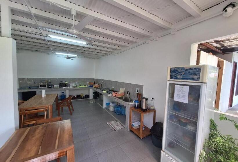 ユースホステル Wide Mouth Frog Quepos