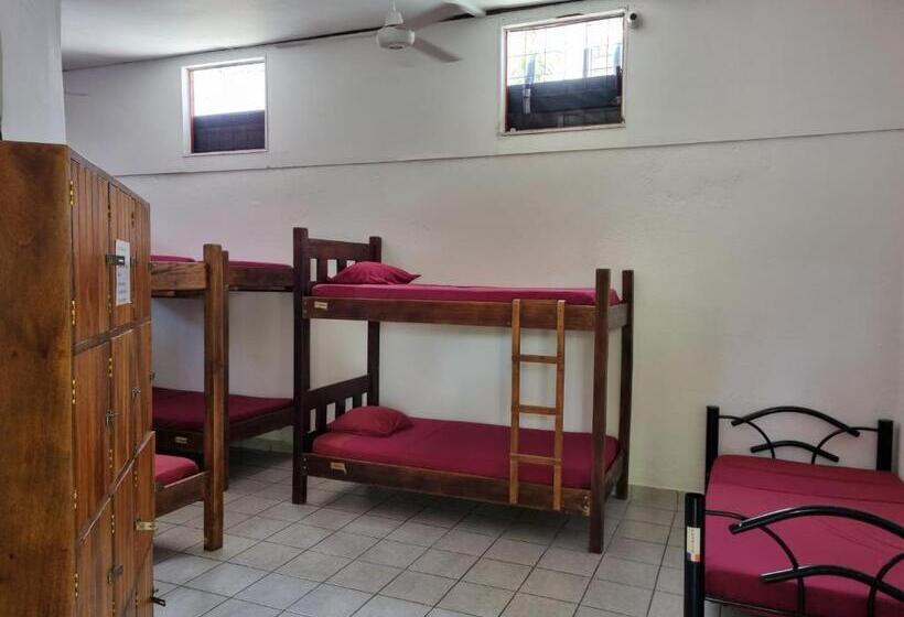 ユースホステル Wide Mouth Frog Quepos