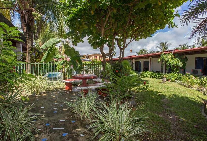 ユースホステル Wide Mouth Frog Quepos