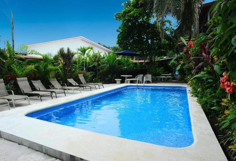 ユースホステル Wide Mouth Frog Quepos