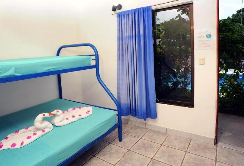ユースホステル Wide Mouth Frog Quepos