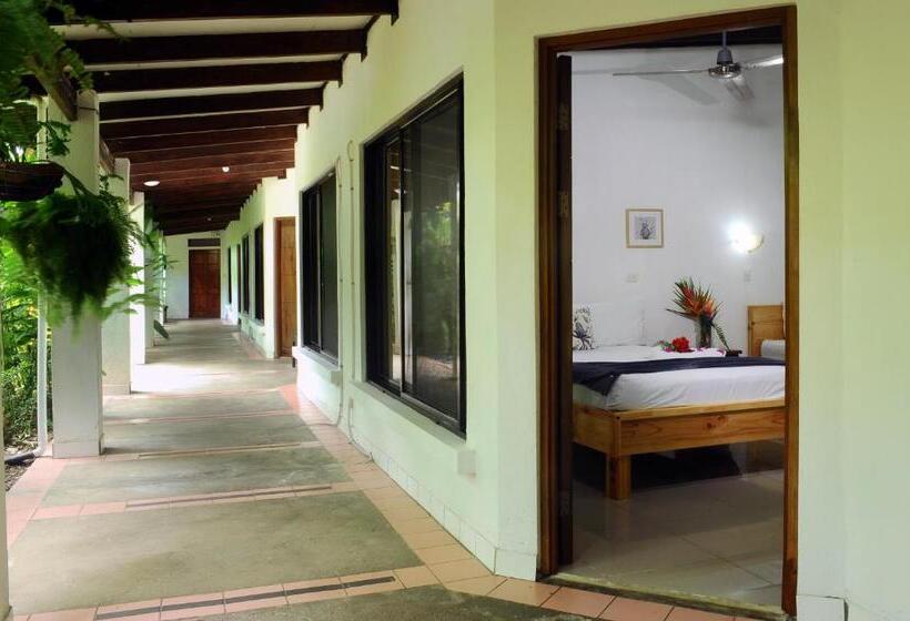 ユースホステル Wide Mouth Frog Quepos