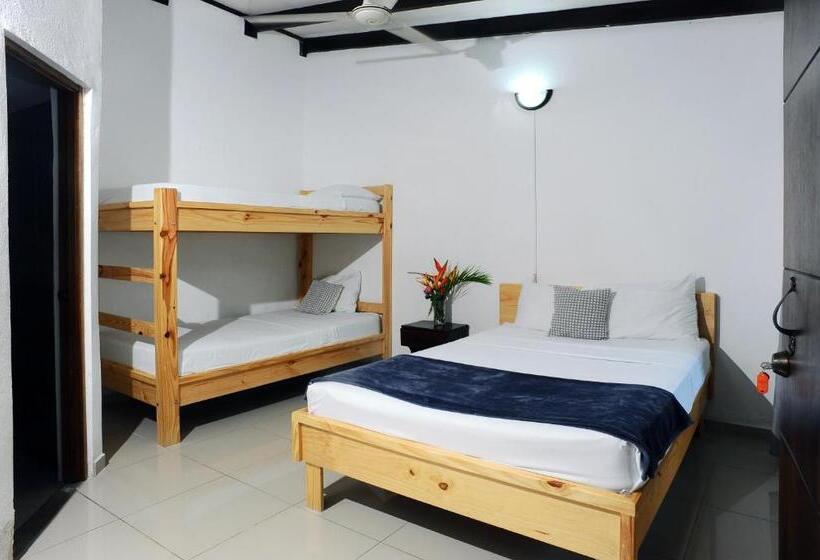 ユースホステル Wide Mouth Frog Quepos