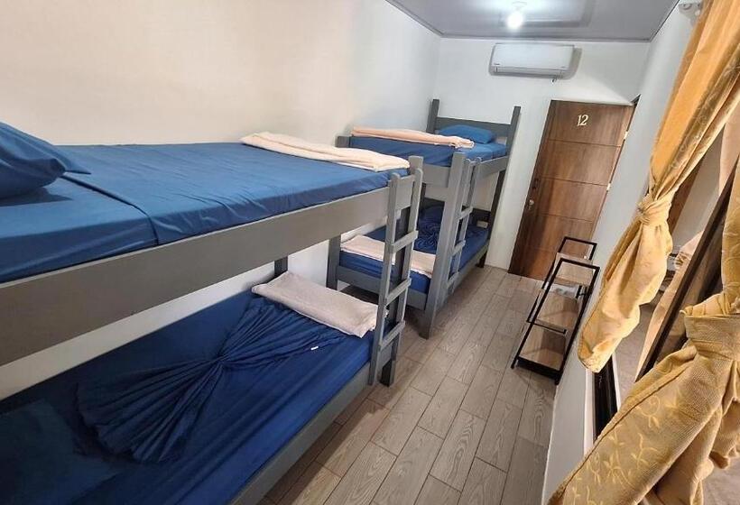 ユースホステル Wide Mouth Frog Quepos