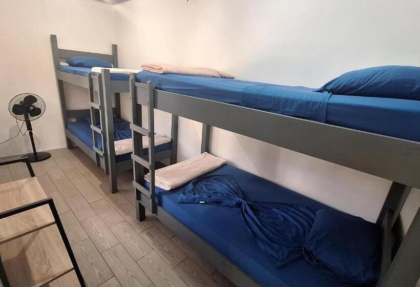 ユースホステル Wide Mouth Frog Quepos