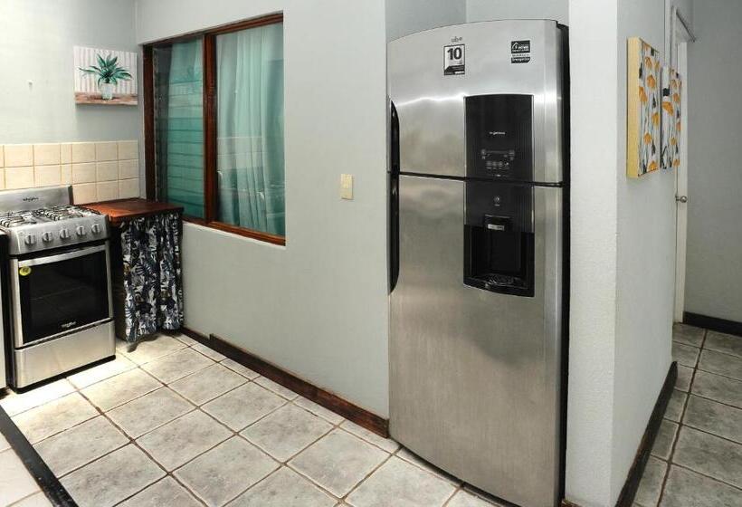 ユースホステル Wide Mouth Frog Quepos