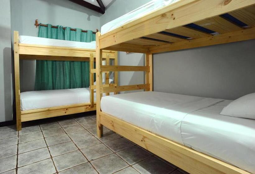 ユースホステル Wide Mouth Frog Quepos