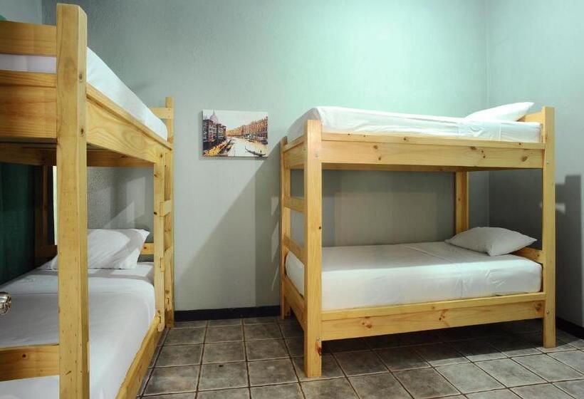 ユースホステル Wide Mouth Frog Quepos