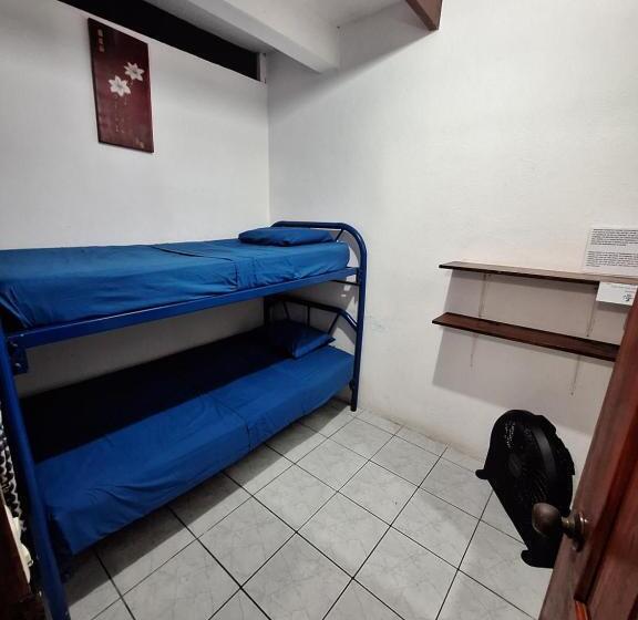 ユースホステル Wide Mouth Frog Quepos