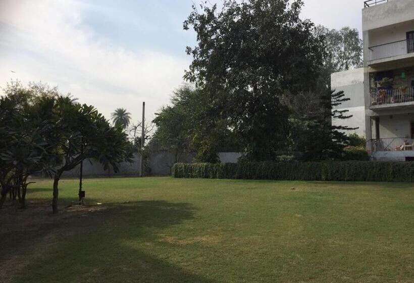 Bed and Breakfast Homestay Chateau 39