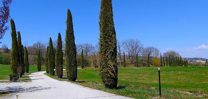 Bed and Breakfast Torrebianca Tuscany