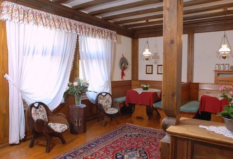 酒店 Albergo Dolomiti