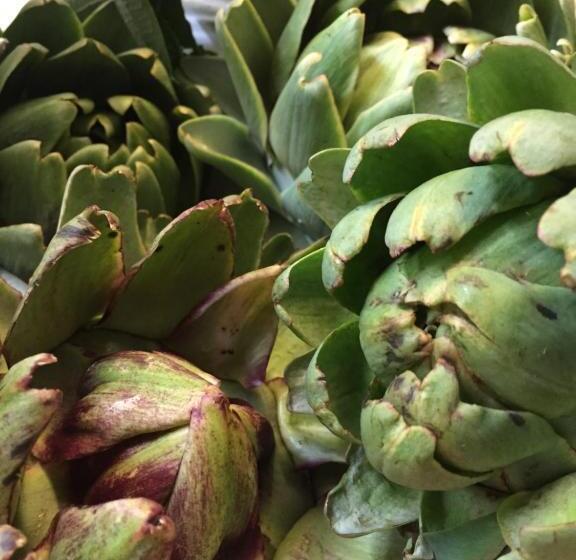 ホテル Il Regalo イルレガーロ