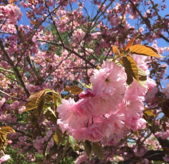 ホテル Il Regalo イルレガーロ