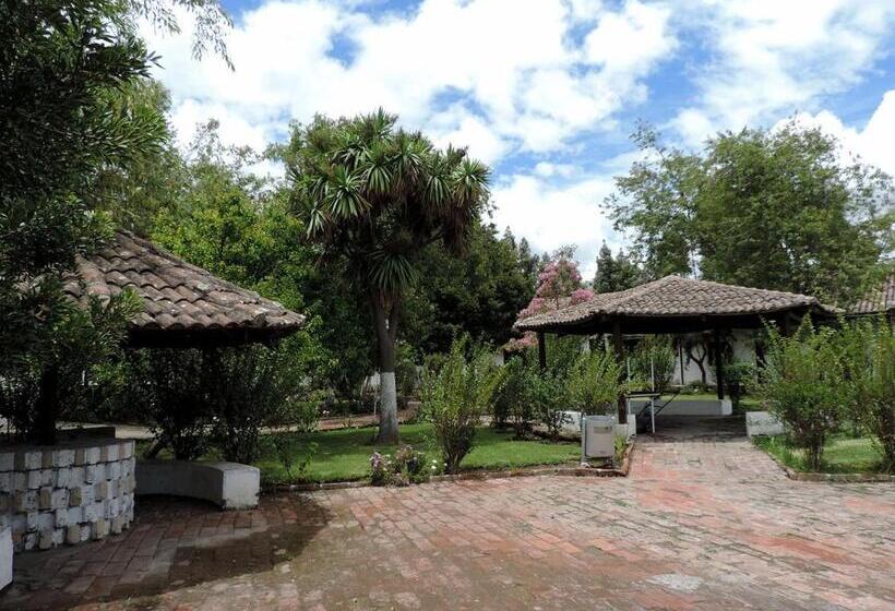 فندق La Primavera