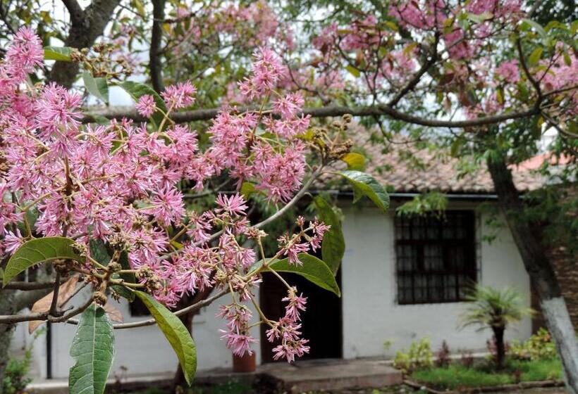 فندق La Primavera