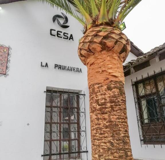 فندق La Primavera