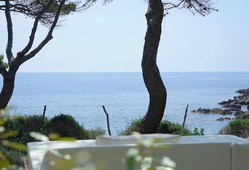 Pleta De Mar, Grand Luxury Hotel By Nature   Adults Only