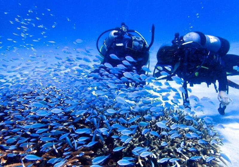 منتجع Kerama Terrace