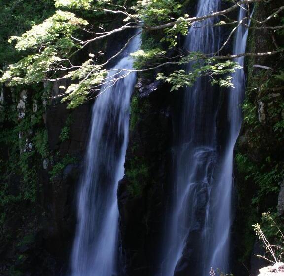 Рёкан 伊藤屋