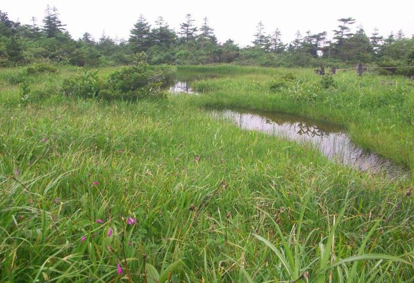 Рёкан 伊藤屋