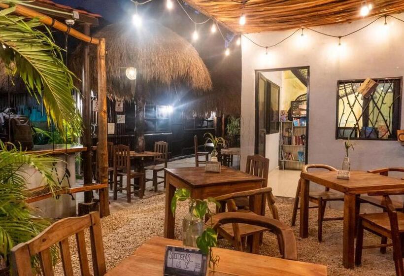 هاستل Hostal Cha Cha Cha