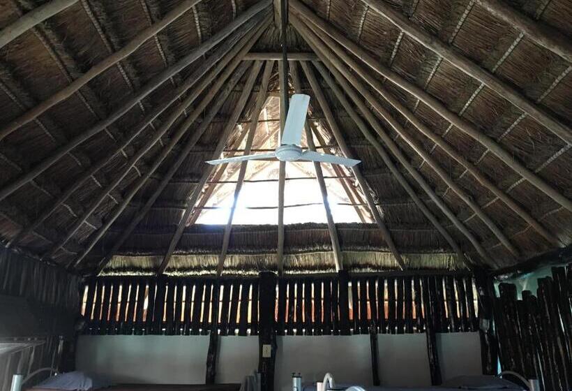 هاستل Hostal Cha Cha Cha