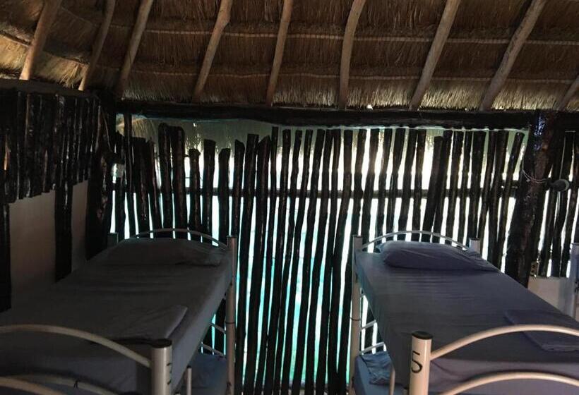 هاستل Hostal Cha Cha Cha