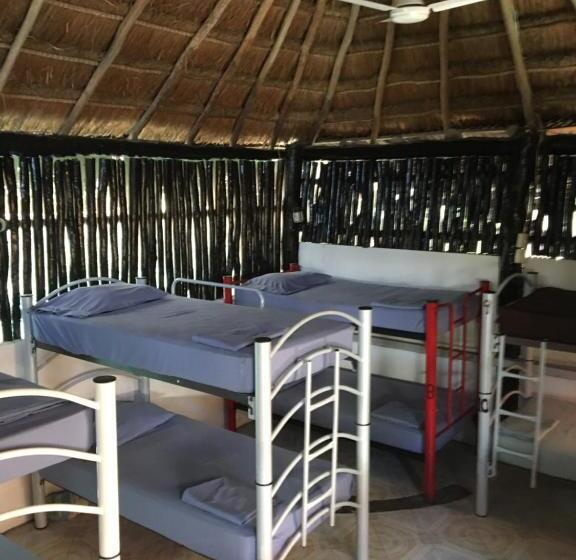 هاستل Hostal Cha Cha Cha