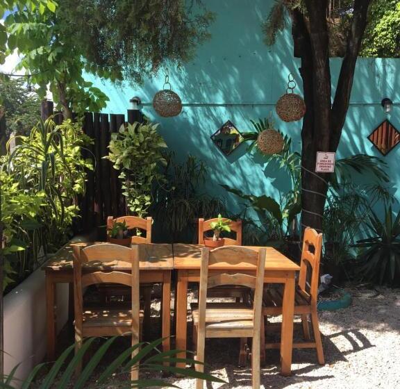 هاستل Hostal Cha Cha Cha