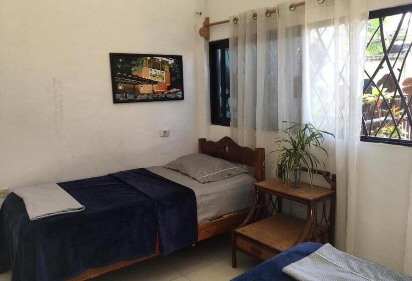 هاستل Hostal Cha Cha Cha