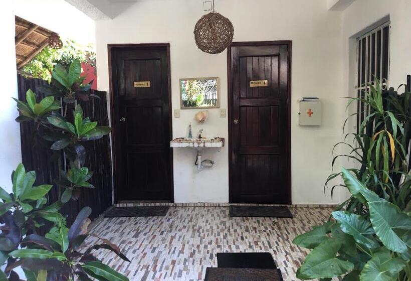 هاستل Hostal Cha Cha Cha