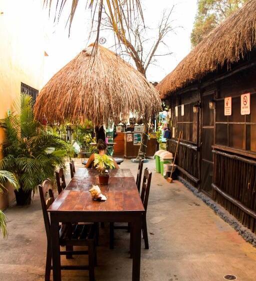 هاستل Hostal Cha Cha Cha