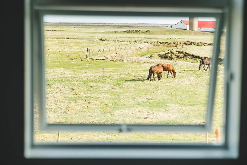 هاستل Midgard Base Camp