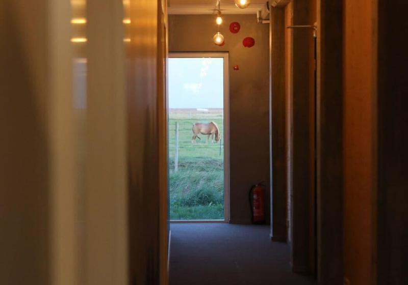 هاستل Midgard Base Camp