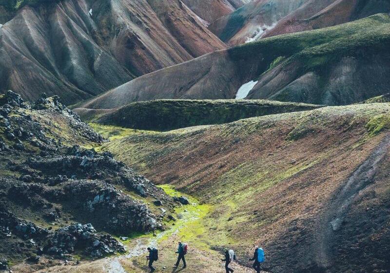 هاستل Midgard Base Camp