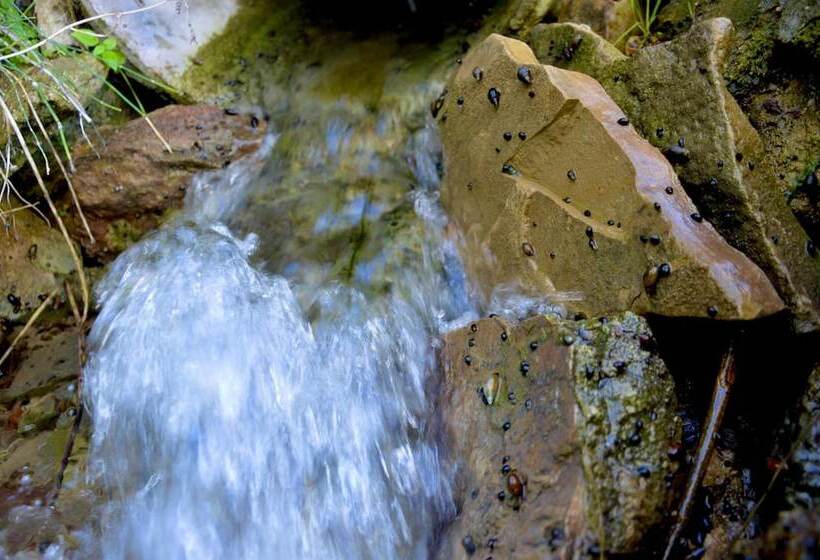 Albergue Rural De Algodonales   Hostel